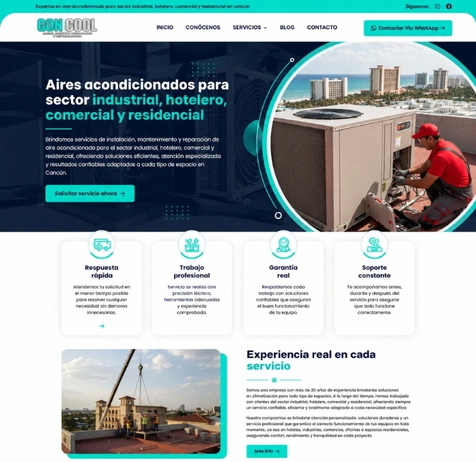 diseñador paginas web mexico